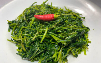Cicoria ripassata in padella