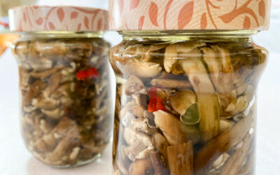 Funghi chiodini sott’olio